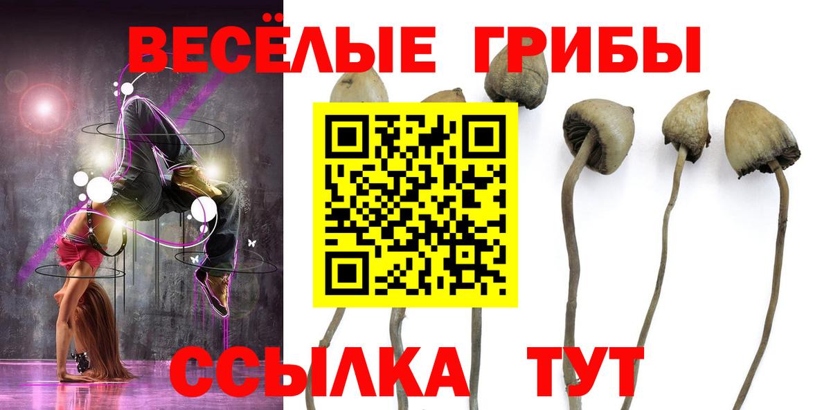 Галлюциногенные грибы мухоморы Зеленодольск