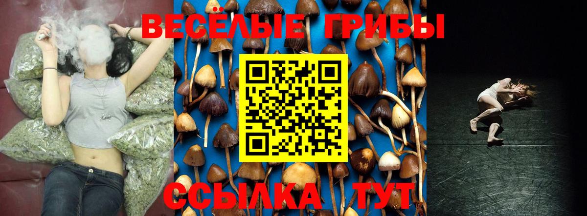 Зеленодольск  Псилоцибиновые грибы Psilocybine cubensis  Вход с VPN  Псилоцибиновые грибы мицелий 